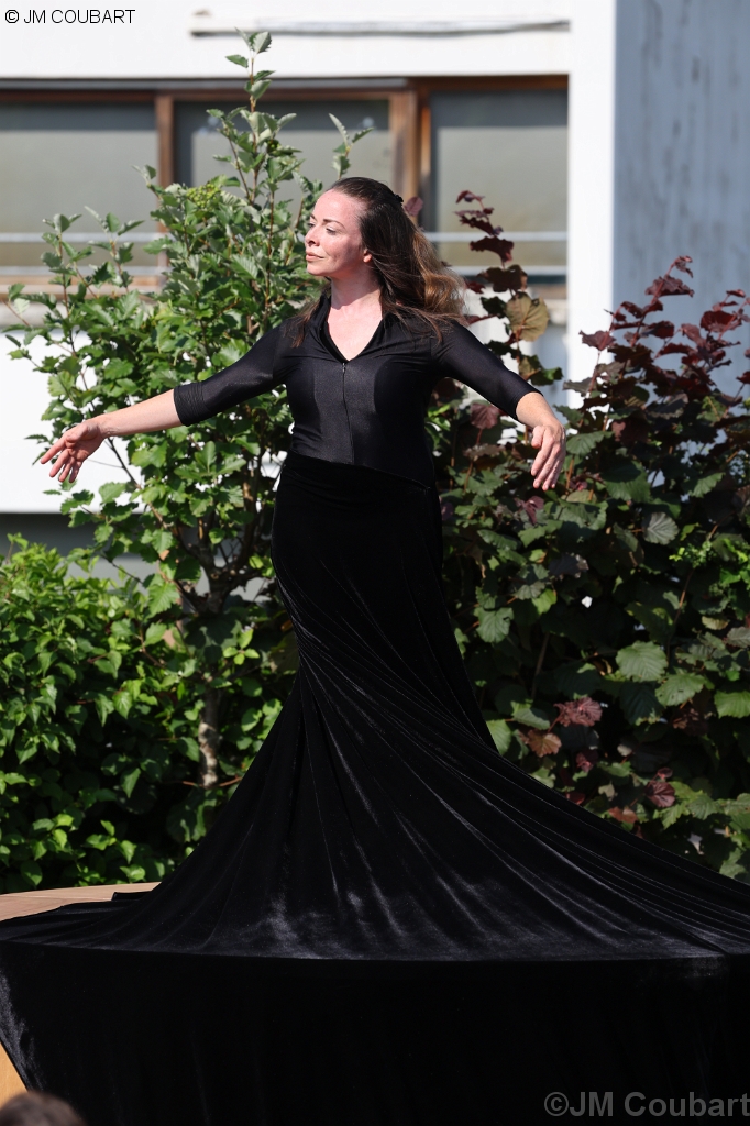 Diapositive suivante